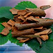 Cannelle Bio - Cinnamomum cassiae - 500g