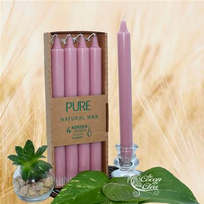 Bougie Longue Rose Antique 10h Pure Candle Boîte de 4