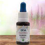 Deva - Fleur du Dr Bach - glantier N.37 - Compte gouttes 15ml