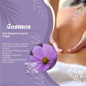 Cosmos 2h10