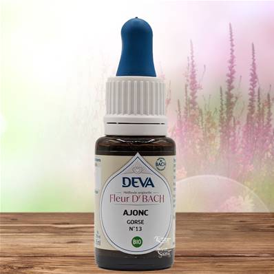 Deva - Fleur du Dr Bach - Ajonc N.13 - Compte gouttes 15ml