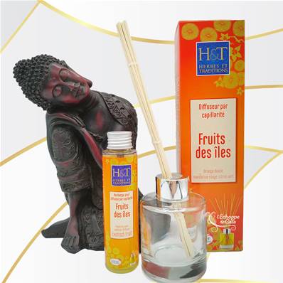 Herbes et Traditions - Pack Diffuseur par Capillarité - Fruits des Îles - 100ml