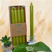 Bougie Longue Vert Olive 10h Pure Candle Boîte de 4
