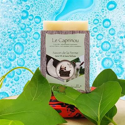 Panda et Tourterelle - Savon Artisanal Naturel - Le Caprinou