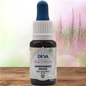 Deva - Fleur du Dr Bach - Marronnier Rouge N.25 - Compte gouttes 15ml