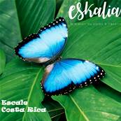 Eskalia- Escale Costa Rica - Crème Mains et Pieds Ultra Réparatrice