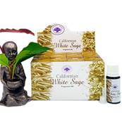 Green Tree - Huile Parfumée White Sage Sauge Blanche - Box de 12