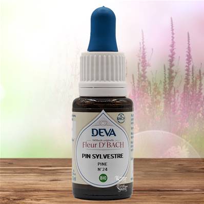 Deva - Fleur du Dr Bach - Pin Sylvestre N.24 - Compte gouttes 15ml