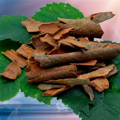 Cannelle Bio - Cinnamomum cassiae - 25g