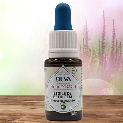 Deva - Fleur du Dr Bach - Etoile de Bethleem N.29 - Compte gouttes 15ml