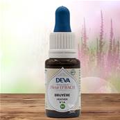 Deva - Fleur du Dr Bach - Bruyère N.14 - Compte gouttes 15ml