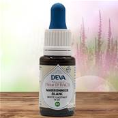 Deva - Fleur du Dr Bach - Marronnier Blanc N.35 - Compte gouttes 15ml