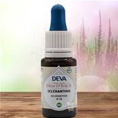 Deva - Fleur du Dr Bach - Scleranthus N.28 - Compte gouttes 15ml